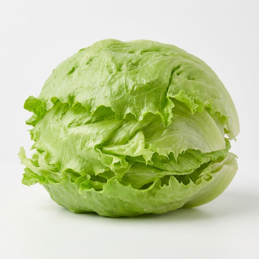 Lechuga